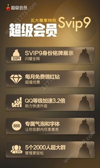 腾讯QQSVIP9正式版图2