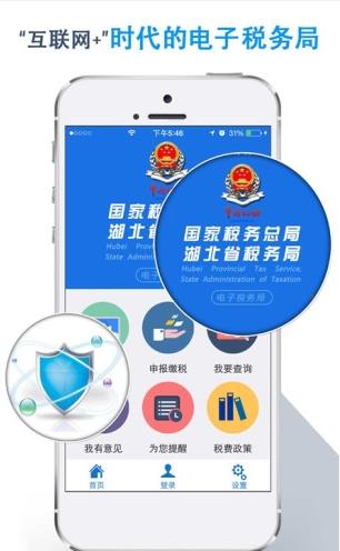 湖北税务app图2