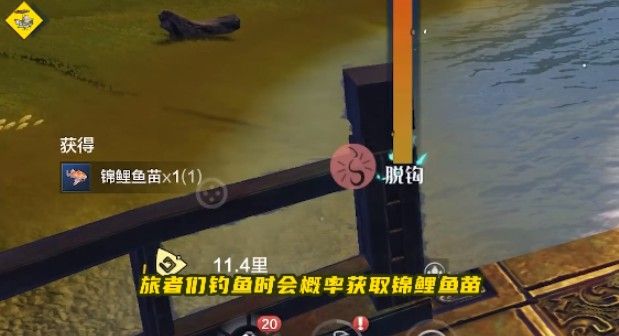 妄想山海锦鲤活动怎么玩？锦鲤活动攻略[多图]图片1