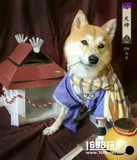 土狗翻身!阴阳师犬神阵容搭配推荐[多图]图片1