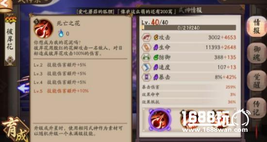 阴阳师版本最强SSR彼岸花攻略解析  我克制一切！[多图]图片2