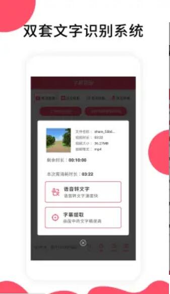 视频字幕提取器app手机版图片5