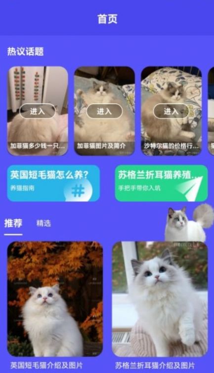 小奶猫呀app图1