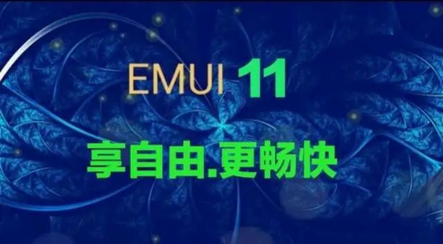 EMUI11内测申请图2