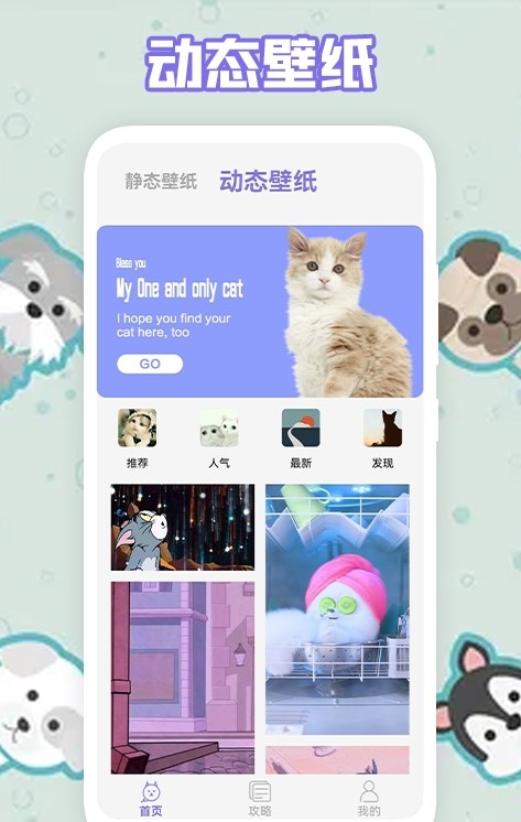 多多养猫助手app图1