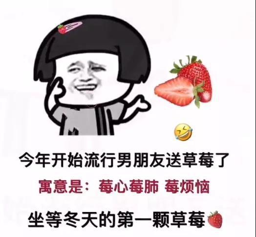 女孩子就应该把快乐寄托给喝酒表情包图0