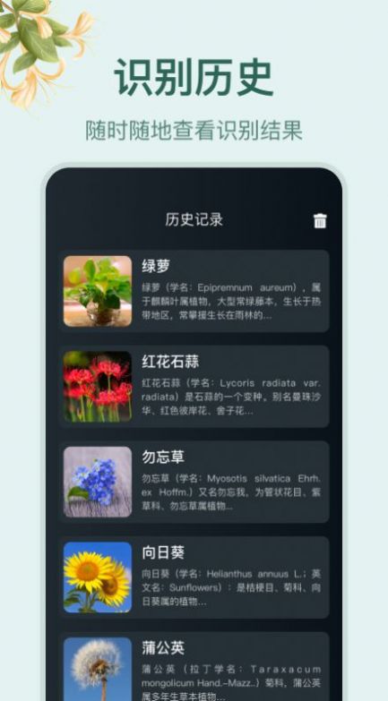 花草百科识别软件图2