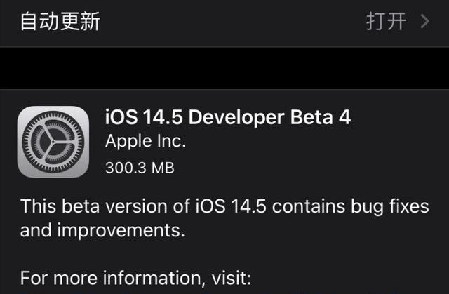 iOS14.5Beta4描述文件官方版图片1