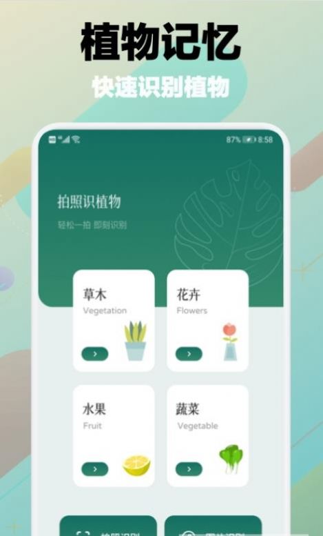 树林记忆软件安卓版图3