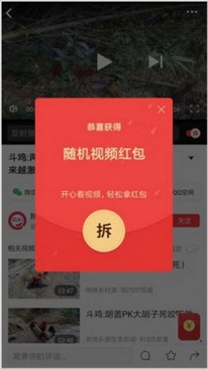 小黄蜂视频app图0