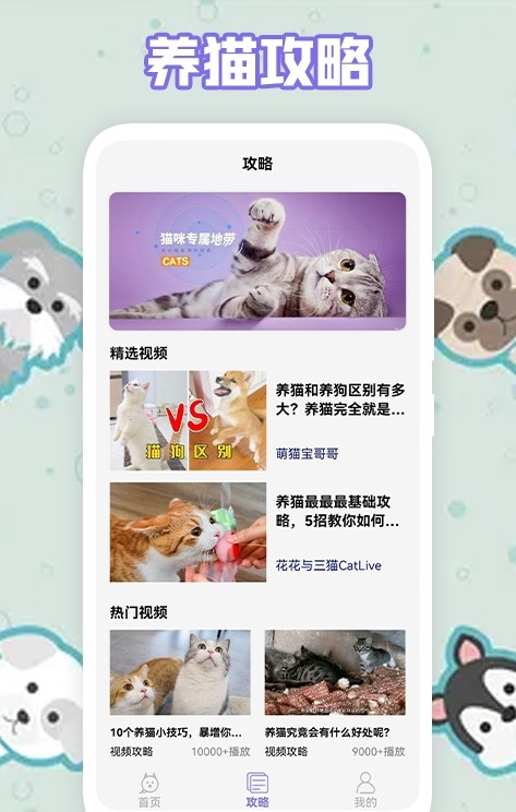 多多养猫助手app图2