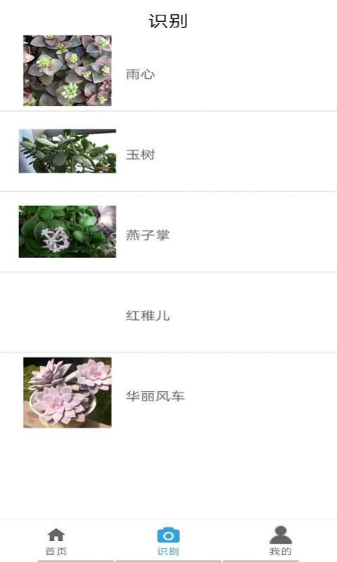 植物图鉴app手机版图片1