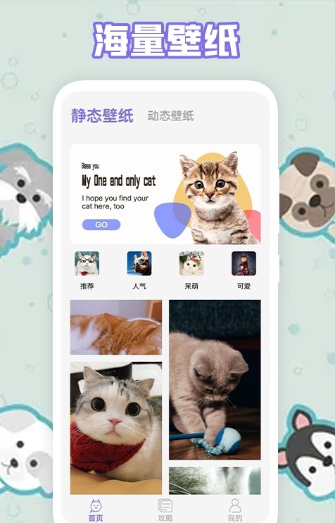 多多养猫助手app图0