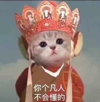 猫咪唐僧头像图片无水印大全图片1