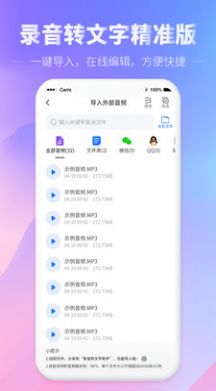 录音转文字精准版app图2