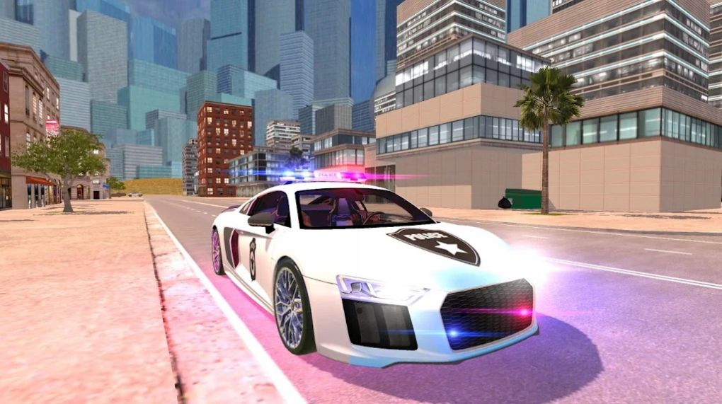 R8 Police Car Driving(R8警察模拟器手机汉化版)图2