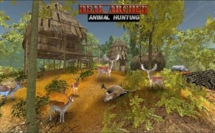 真正的弓箭手动物狩猎(Real Archer Animal Hunting)图1