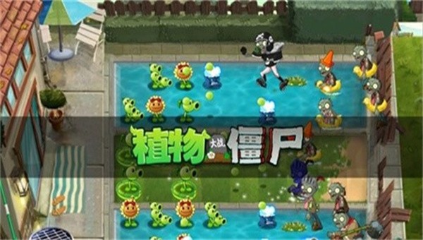 PVZ盆栽豌豆3图2