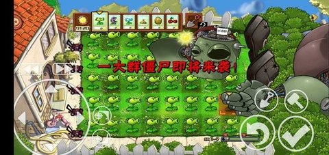 植物大战僵尸pvz核图1