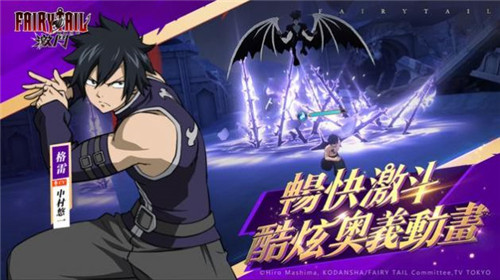 FAIRY TAIL(魔導少年)：激鬥图0