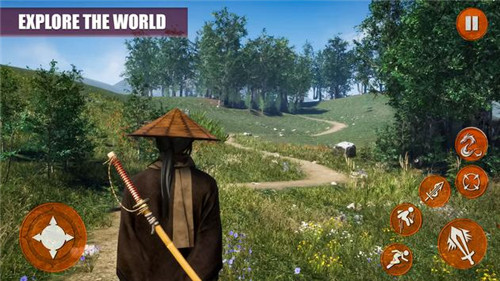 忍者剑格斗冒险Ninja Sword Fighting Adventure图2