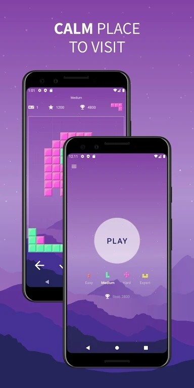 放置砖块Brick Game图2