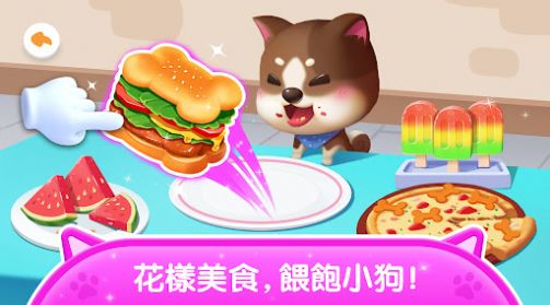 奇妙宠物屋(Puppy Pet Care)图3