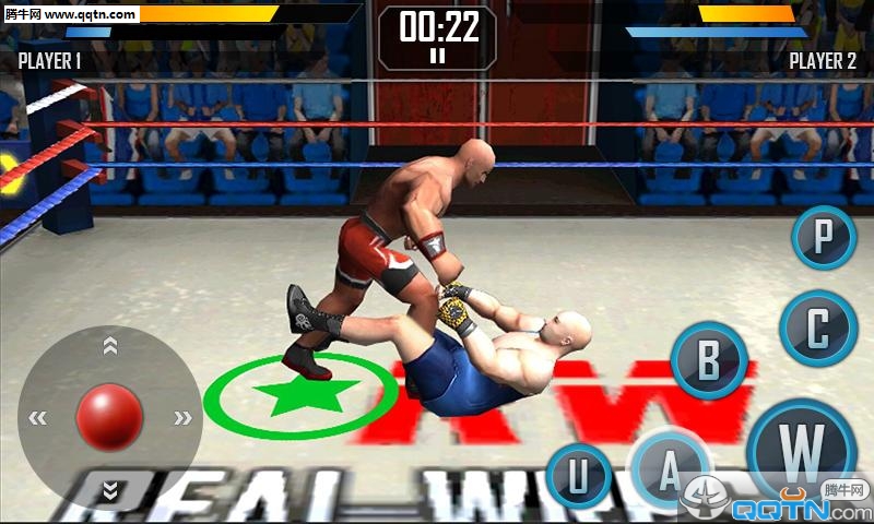 真实摔跤游戏下载Real Wrestling 3D图0