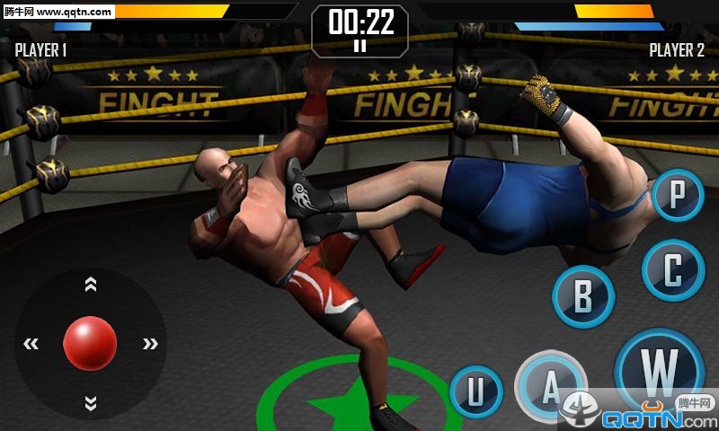 真实摔跤游戏下载Real Wrestling 3D图1