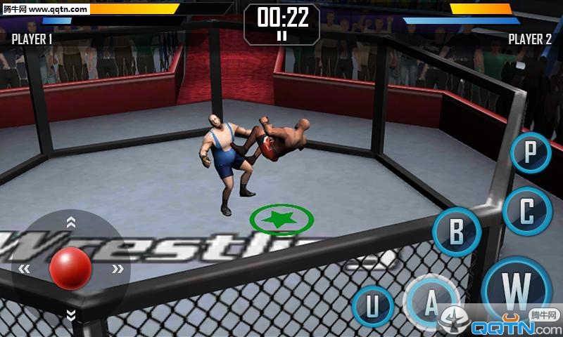 真实摔跤游戏下载Real Wrestling 3D图4