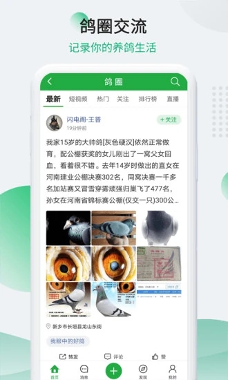 中国信鸽信息网app下载图1