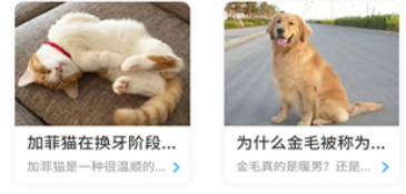 狗猫翻译器app