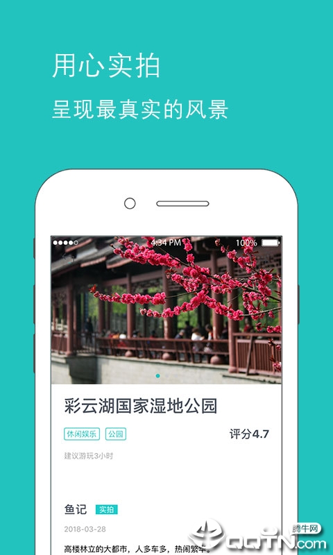 鱼游app图1