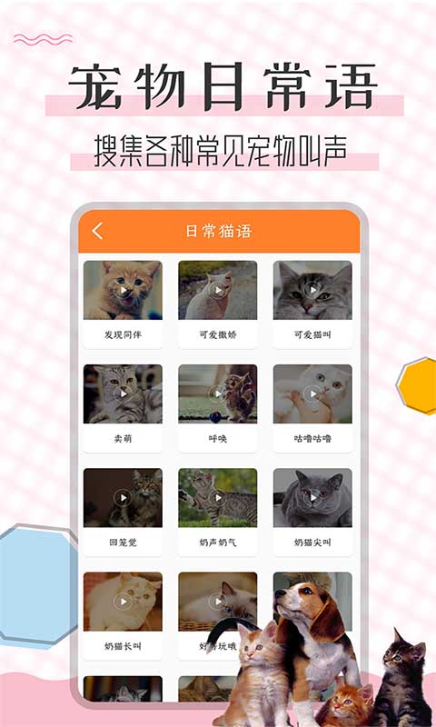 猫语翻译宝图3