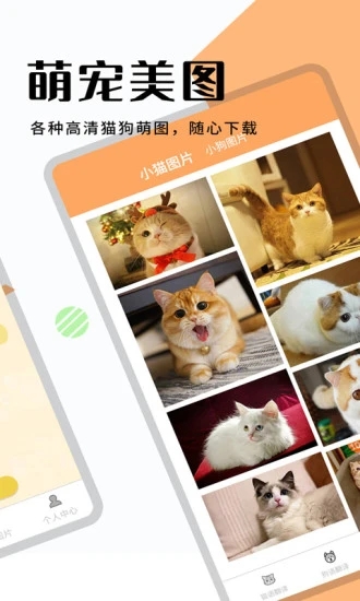 猫狗翻译器图1