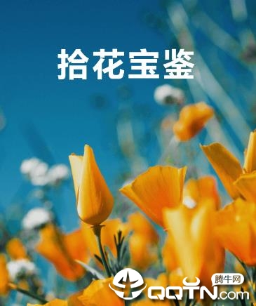 拾花宝鉴