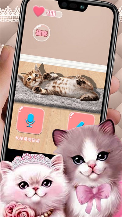 猫猫语言转换器app图2