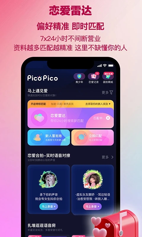 PicoPico图1