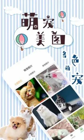 人猫翻译交流器图3