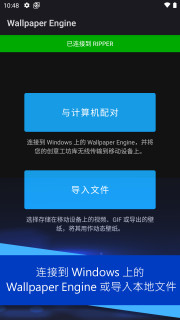 Wallpaper Engine壁纸引擎下载图4