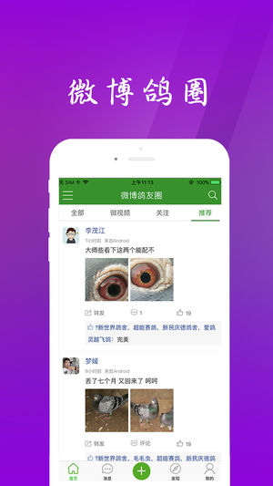 中信网app赛鸽直播平台-中国信鸽信息网图4