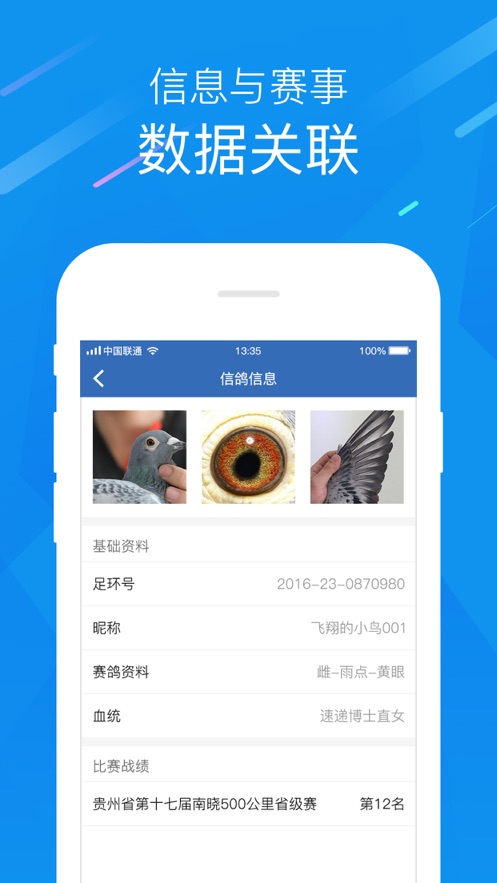 中国信鸽协会app图2