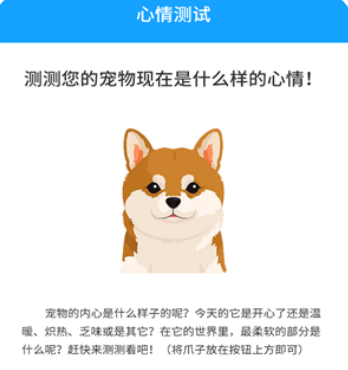 狗猫翻译器app