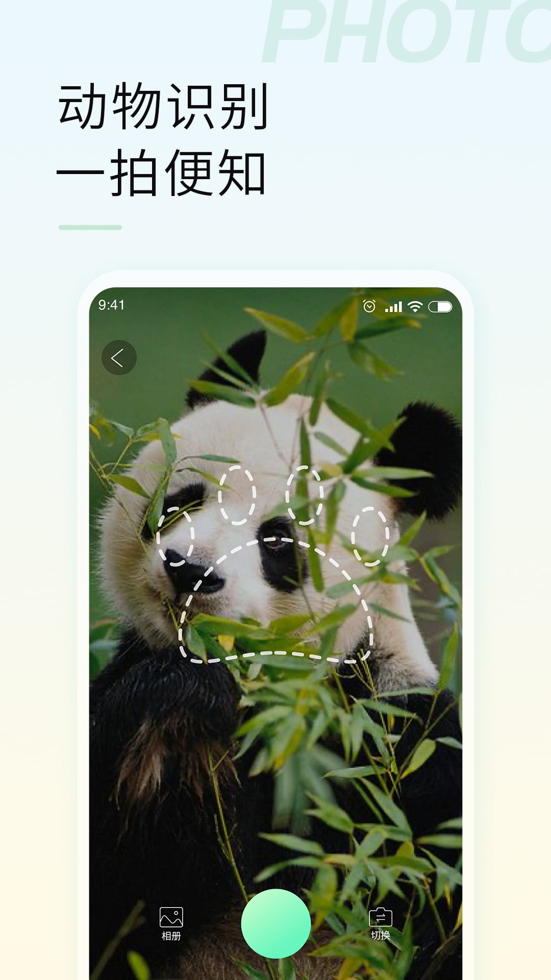 智能拍照识物app图2