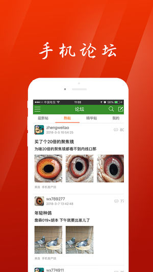 中信网app赛鸽直播平台-中国信鸽信息网图3