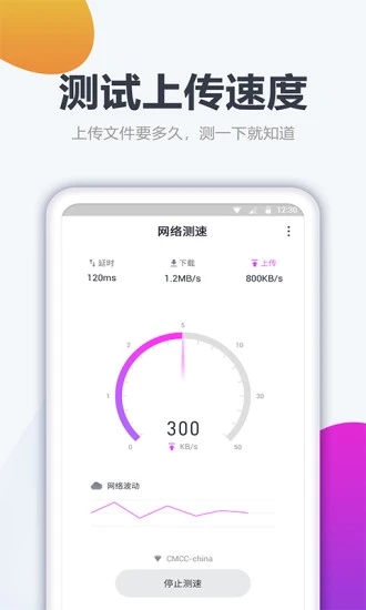 测网速大师图0