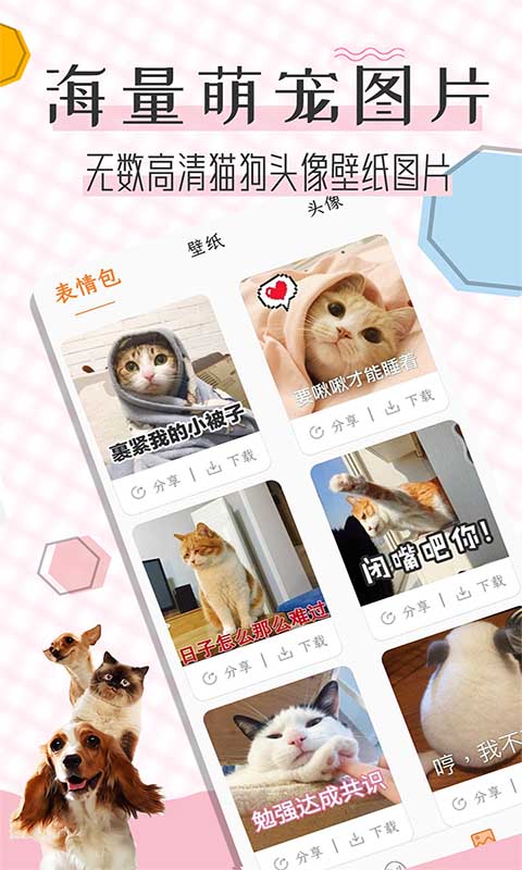 猫语翻译宝图2