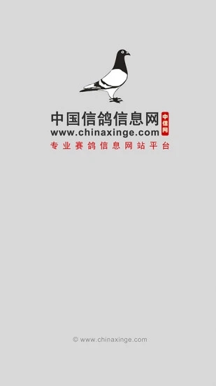 中国信鸽信息网app下载图3